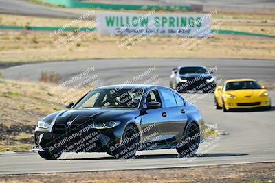 media/Mar-22-2025-West Coast Racing (Sat) [[0d49b412c8]]/Blue Group/Session 1 (Turn 4-Exterior)/